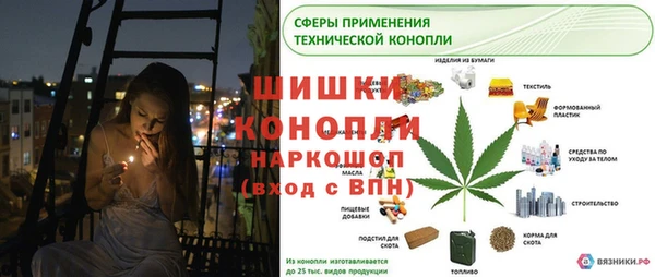 spice Рославль