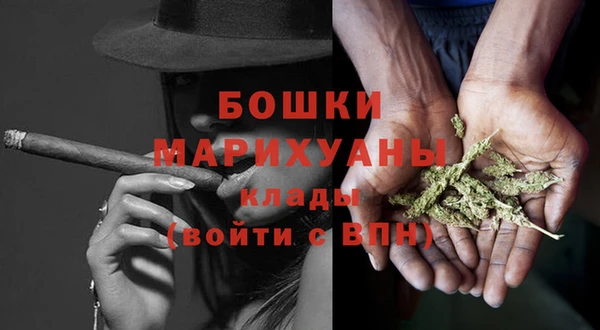 PSILOCYBIN Верея