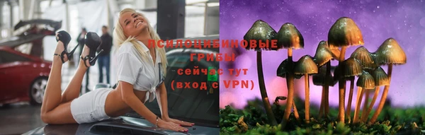 PSILOCYBIN Верея