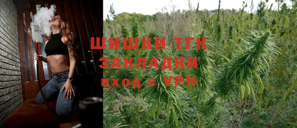 прущие грибы Волоколамск