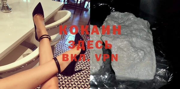 прущие грибы Волоколамск