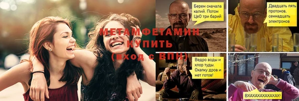 прущие грибы Волоколамск