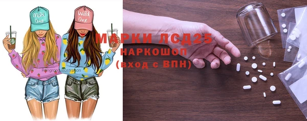 прущие грибы Волоколамск